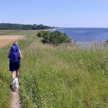 Goldsprotte Apartment Eckernförde Екстериор снимка