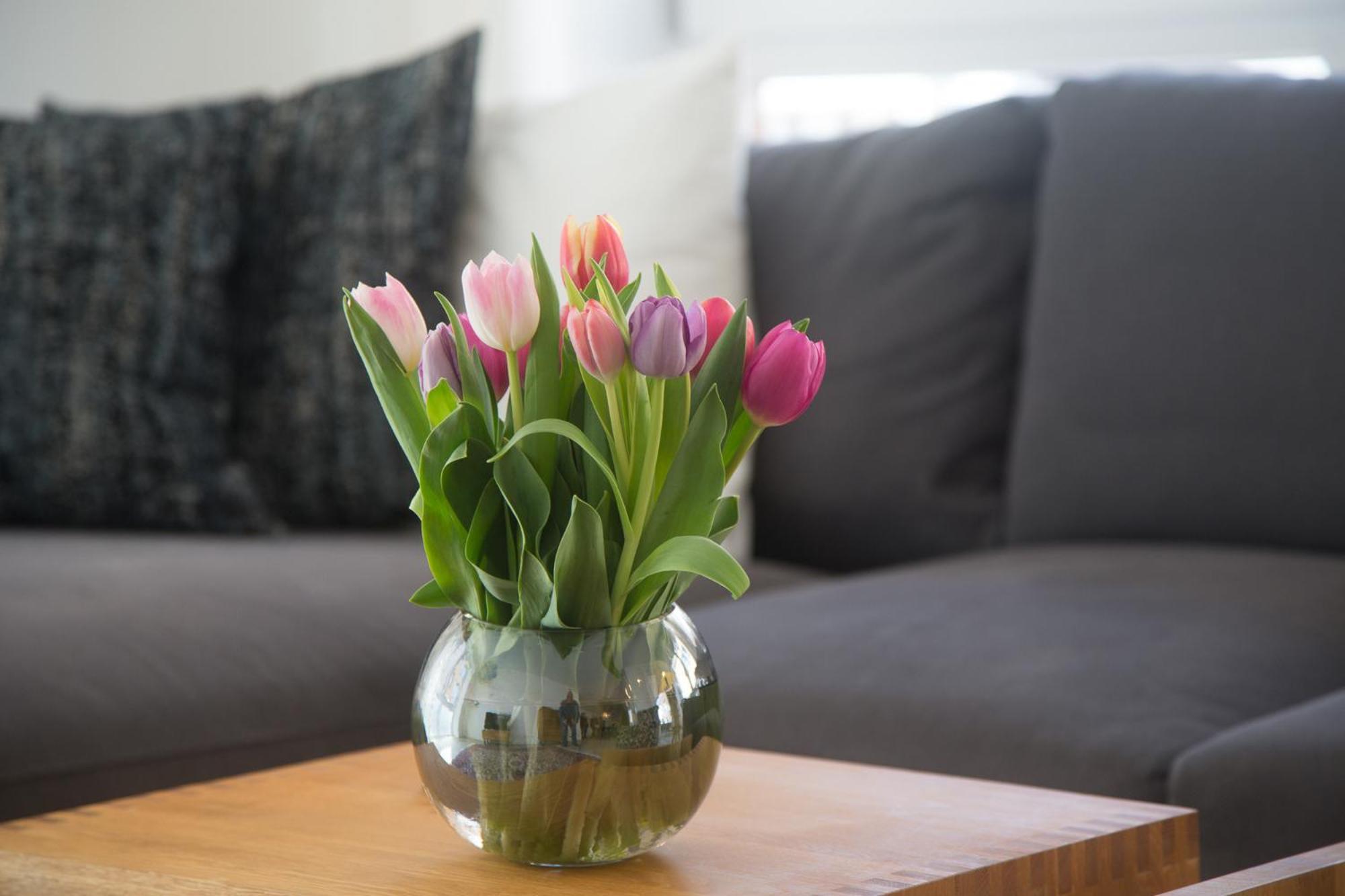 Goldsprotte Apartment Eckernförde Екстериор снимка
